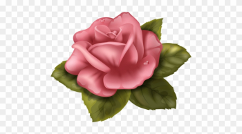 Rose Drawingswafer Papertrue Colorscredit - Perfect Rose Cross Stitch Pattern Rose Drawingswafer Papertrue Colorscredit - Perfect Rose Cross Stitch Pattern
