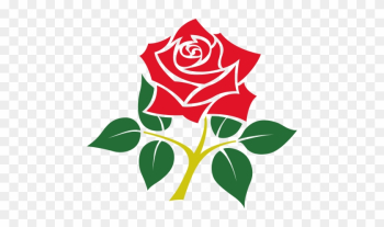 Rose Emblem Of England