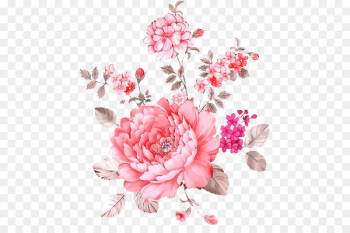 Rose Floral design Flower Watercolor painting - creative watercolor flowers 