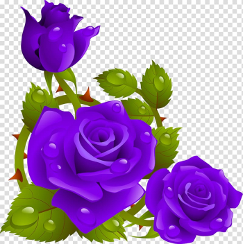 Rose Flower , blue rose transparent background PNG clipart