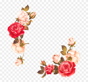 Rose Flower Border Png