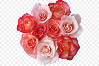 Rose Flower bouquet Clip art - Roses Bouquet Clipart Rose Flower bouquet Clip art - Roses Bouquet Clipart
