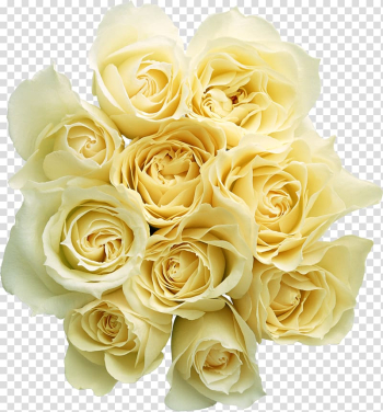 Rose Flower bouquet, White rose , flower white rose transparent background PNG clipart