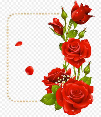 Rose Flower Clip art - red rose border Rose Flower Clip art - red rose border