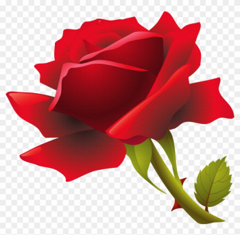 Rose Flower Clip Art - Red Rose Png Rose Flower Clip Art - Red Rose Png