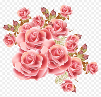 Rose Flower Drawing Stock Photography - Rose Background Rose Flower Drawing Stock Photography - Rose Background