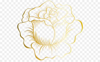Rose Flower Gold Clip art - Rose gold edge Rose Flower Gold Clip art - Rose gold edge
