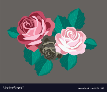 rose flower icon colored classical sketch rose flower icon colored classical sketch
