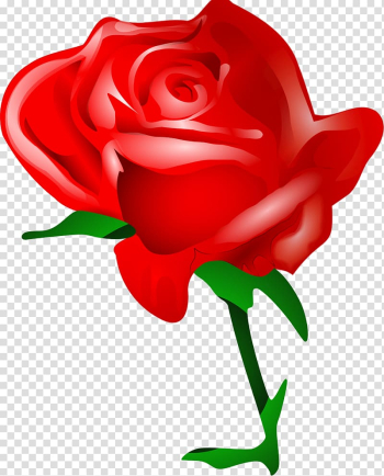 Rose Flower Love , Rose transparent background PNG clipart