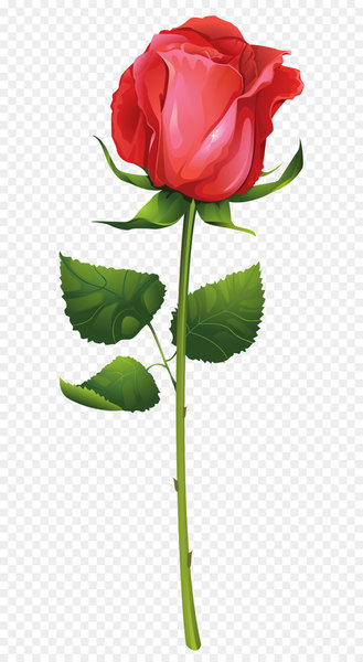 Rose Flower Plant stem Clip art - Rose with Stem PNG Clip Art Image 