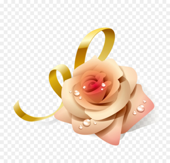 Rose Flower - Romantic floral material Rose Flower - Romantic floral material