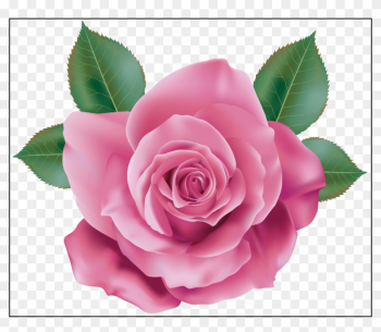 Rose Flower Rose Flower Hd Png Astonishing Pink Rose - Pink Rose Clip Art Rose Flower Rose Flower Hd Png Astonishing Pink Rose - Pink Rose Clip Art