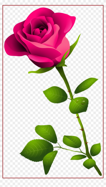 Rose Flower Rose Flower Images P Amazing Pink Rose - Happy Rose Day Image Download