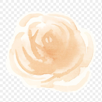 Rose flower transparent png watercolor sticker Rose flower transparent png watercolor sticker