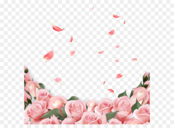 Rose Flower Wedding invitation Pink - Pink Rose Rose Flower Wedding invitation Pink - Pink Rose