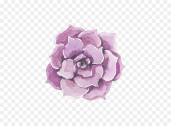 Rose Flower Wedding Pink - Hand Painted,flower,poster Rose Flower Wedding Pink - Hand Painted,flower,poster