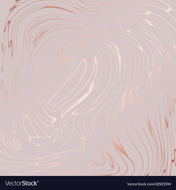 Rose gold abstract decorative background rose vector image Rose gold abstract decorative background rose vector image