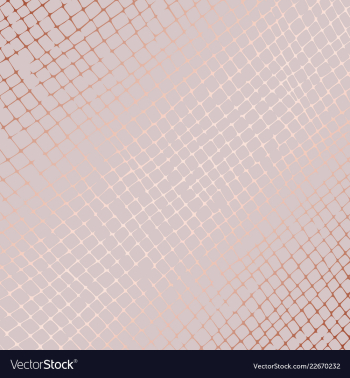 Rose gold grid abstract pattern vector image Rose gold grid abstract pattern vector image