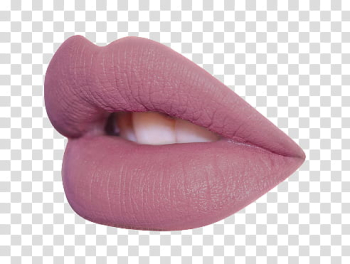 Rose Gold Mega , pink lipstick transparent background PNG clipart Rose Gold Mega , pink lipstick transparent background PNG clipart