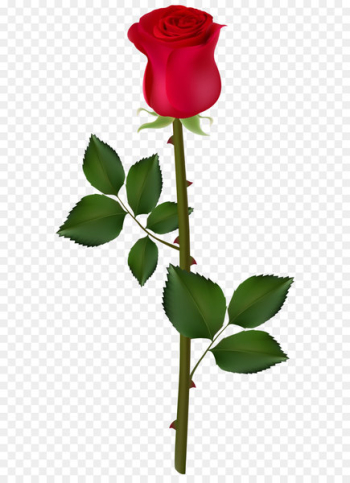Rose Graphics Clip art - Red Rose PNG Image Rose Graphics Clip art - Red Rose PNG Image