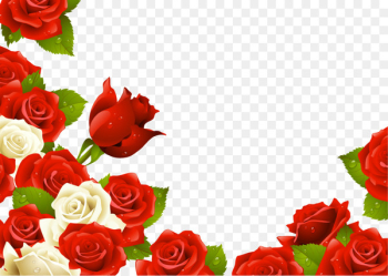 Rose Illustration - Flower bouquet Rose Illustration - Flower bouquet