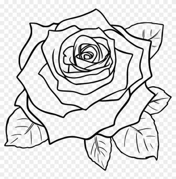 Rose Outline Line Drawing Of A Rose Free Download Clip - Rose Clipart Black And White