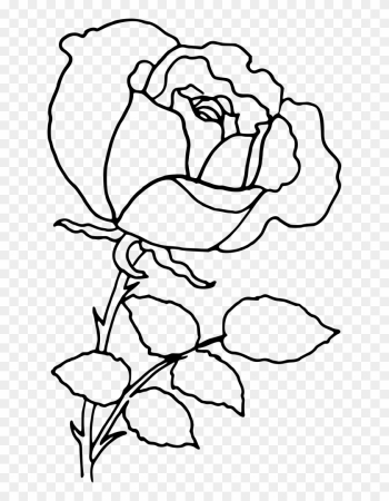 Rose Outline - Rose Outline Png Rose Outline - Rose Outline Png