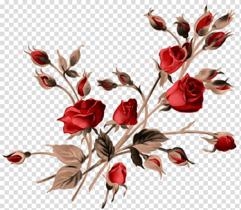 Rose Painting, rose watercolor transparent background PNG clipart Rose Painting, rose watercolor transparent background PNG clipart
