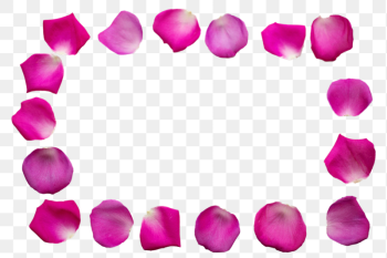 Rose petal frame png sticker, | Free PNG - rawpixel