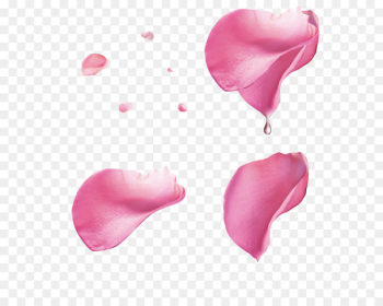 Rose Petal - Pink rose petal floating material Rose Petal - Pink rose petal floating material