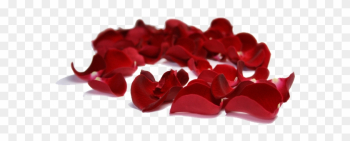 Rose Petals Clipart - Red Roses Petals Png Rose Petals Clipart - Red Roses Petals Png
