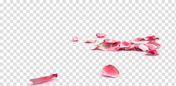 Rose Petals, pink flower petals transparent background PNG clipart Rose Petals, pink flower petals transparent background PNG clipart