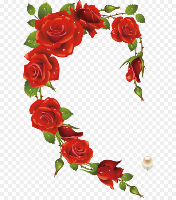 Rose Picture frame Heart Red - Red rose Rose Picture frame Heart Red - Red rose