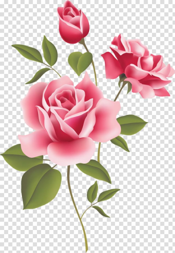 Rose Pink Free content , Rose Corner transparent background PNG clipart