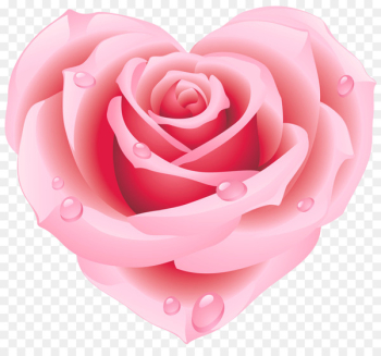 Rose Pink Heart Clip art - pink rose Rose Pink Heart Clip art - pink rose