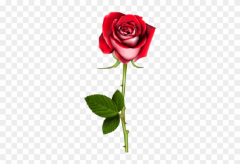 Rose Png Clip Art In Category Flowers Png / Clipart - Red Roses With Thorns Rose Png Clip Art In Category Flowers Png / Clipart - Red Roses With Thorns