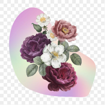 Rose png on gradient | Free PNG - rawpixel Rose png on gradient | Free PNG - rawpixel