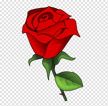 Rose Public domain , Watercolor roses transparent background PNG clipart Rose Public domain , Watercolor roses transparent background PNG clipart
