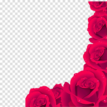 Rose , Red fresh bones border texture transparent background PNG clipart