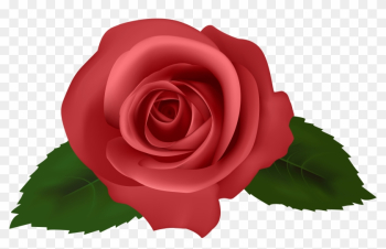 Rose Red Png Clipart - Rose Red Clipart Rose Red Png Clipart - Rose Red Clipart