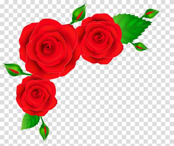 Rose Red , red rose border transparent background PNG clipart