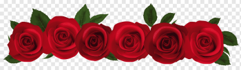 Rose Red, Red Roses, seven red rose flowers illustration, flower Arranging, artificial Flower, flower png