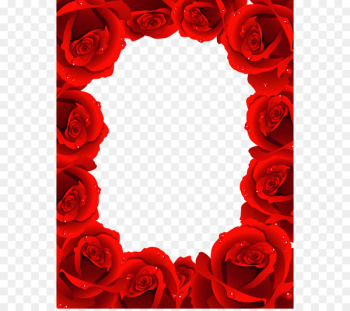 Rose - Rose frame 