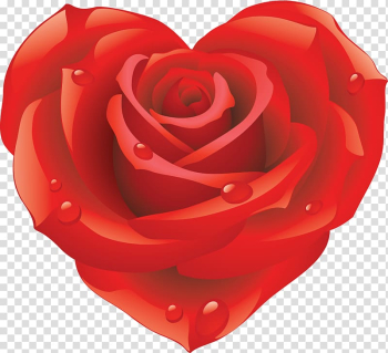 Rose , Rose , free transparent background PNG clipart