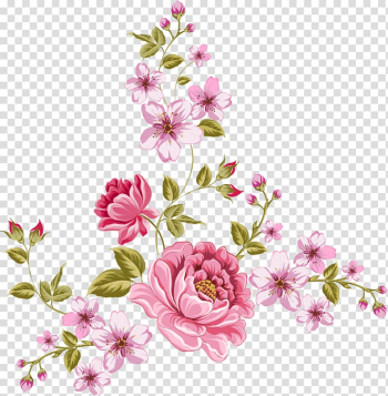 Rose, rose transparent background PNG clipart