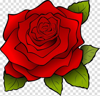 Rose , Rose transparent background PNG clipart
