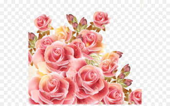 Rose Royalty-free Stock photography Clip art - Romantic Valentine's Day Rose 