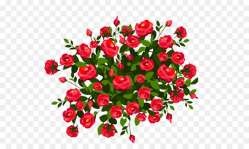 Rose Shrub Pink Clip art - Red Rose Bush PNG Clipart Image 