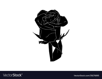rose silhouette rose silhouette