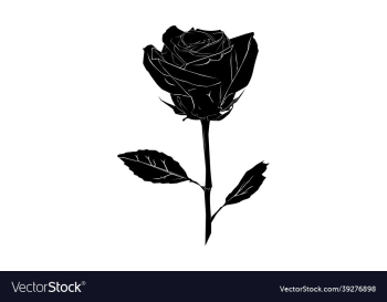 rose silhouette rose silhouette